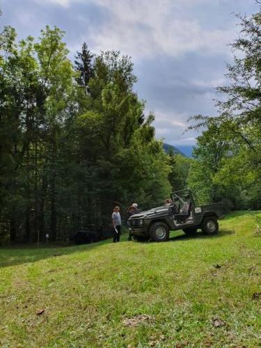 2019 Lauf-7 0722